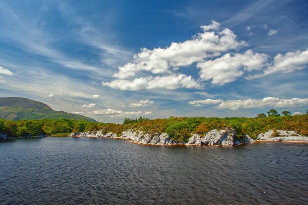 scenic view of one of the Killarney Lakes in Ireland, featuring dark, rippled water, a rocky shoreline, and lush vegetation. The lake's surface reflects the cloudy sky, creating a sense of depth and tranquility. The rocky shoreline is dotted with trees and bushes, adding to the natural beauty of the landscape. Distant hills are visible in the background, completing the scenic view.