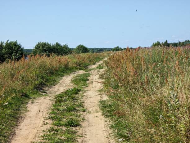 istock A Serene Country Path Weaves Mindfully Through Lush Vibrant Fields Beneath a Clear Blue Sky 2205600835