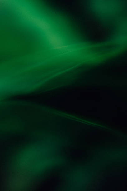 istock Abstraction of green leafy colors 2205603464