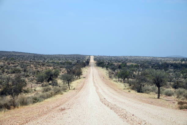 istock Landscape of Namibia 2205604583