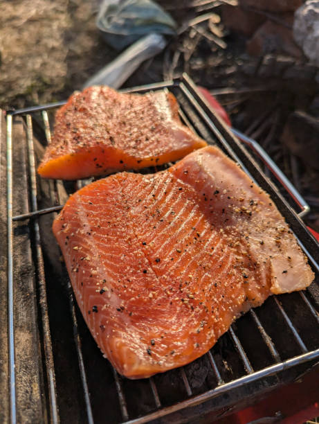 Delicious Grilled Salmon Fillets Prepared Perfectly on a BBQ Rack for Your Enjoyment