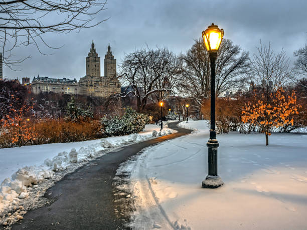 istock Central Park in winter , after snow storm 2205609478