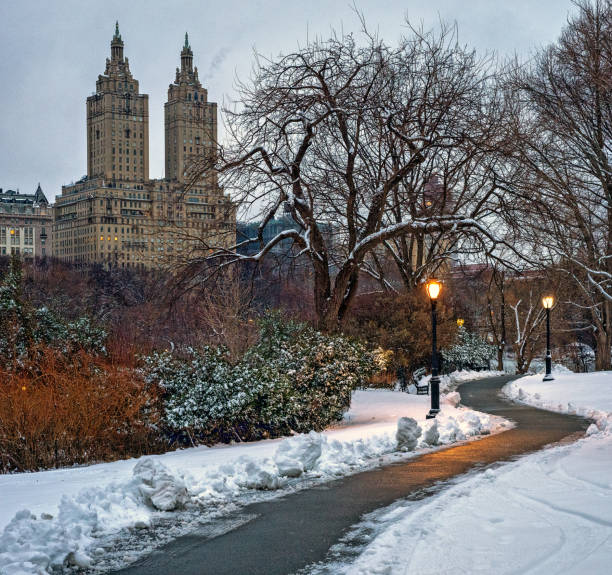 istock Central Park in winter , after snow storm 2205609771