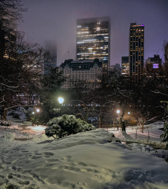 istock Central Park in winter after snow storm 2205609814