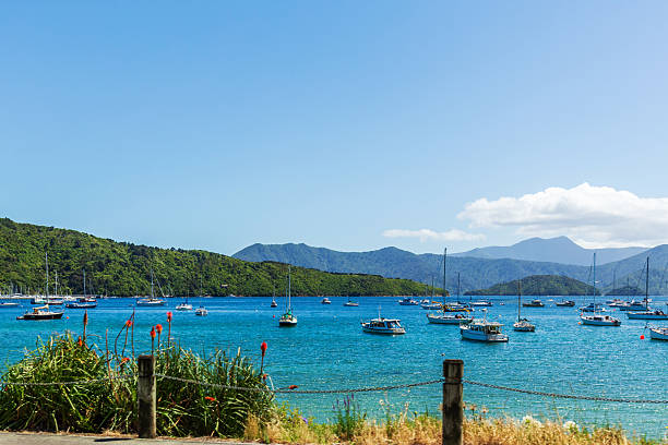 Picton, New Zealand - December 27, 2024: Anchored Boats in Picton's Tranquil Waters