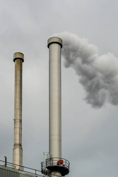 Smoke billowing from an industrial smokestack against a cloudy sky, highlighting environmental concerns