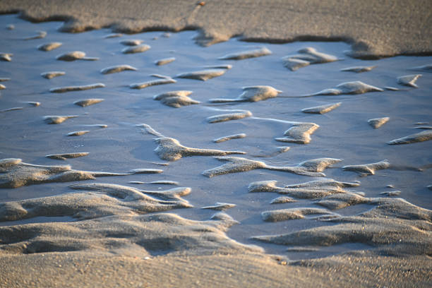 Abstract ripple shapes pattern in the sand made by receding waves with water sill in them