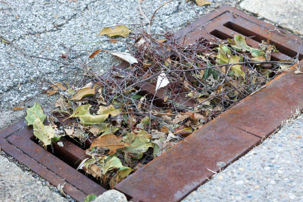 Clogged street drain cover in leaves