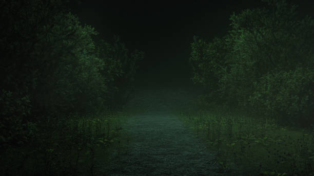 istock Spooky footpath in the forest at night 2205611656