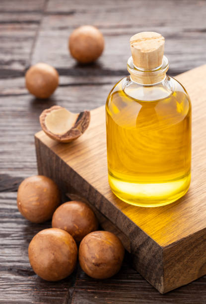 istock Macadamia nuts with bottle of organic oil - Macadamia integrifolia. 2205614088