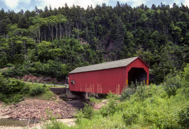 istock Fundy National Park - Covered Bridge - 1985 2205614591