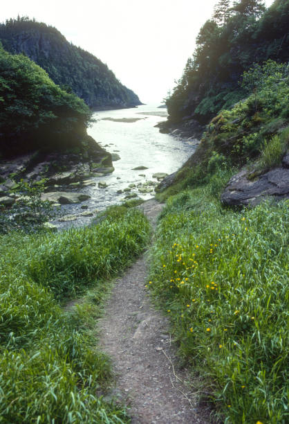 Fundy National Park - Footpath to Inlet - 1985