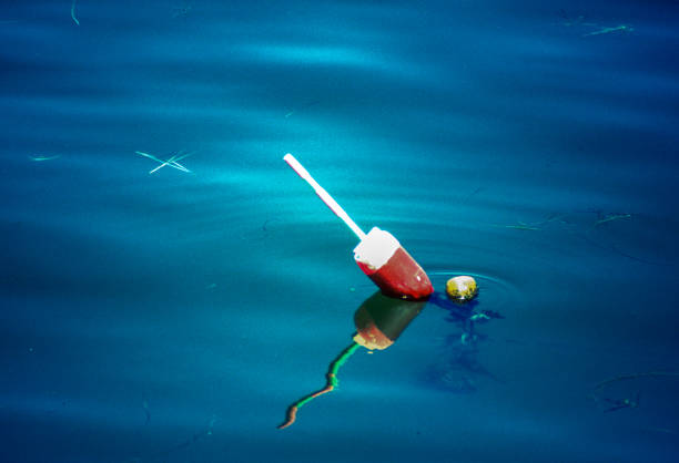 Portland - Lobster Buoy Floating - 1985