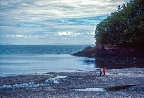 Fundy National Park - At Water's Edge - 1985. Scanned from Kodachrome 25 slide.