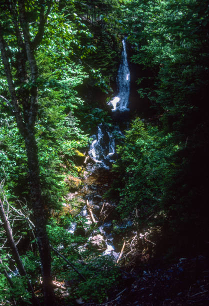 Fundy National Park - Waterfall - 1985