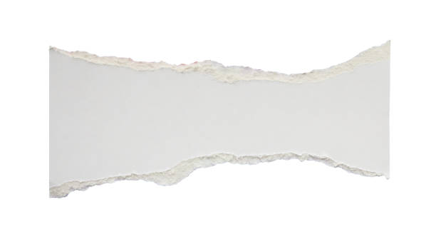istock White ripped paper torn edges strips isolated on white background 2205615588