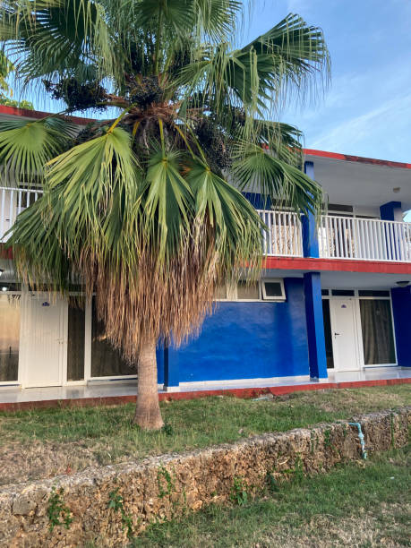 istock Tropical resort hotel 2205621413
