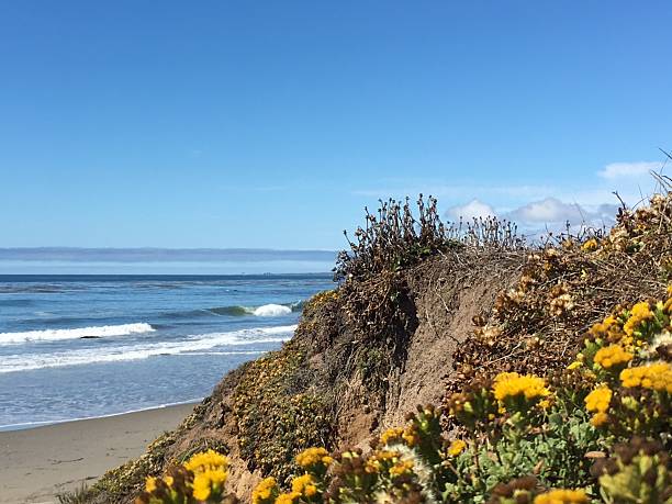 Wide shot of an unrecognizable cyclist taking a break from his bike ride to enjoy the beautiful view of the Pacific Ocean from a rocky viewpoint along the coastline of the San Francisco Bay Area in California, USA on a sunny day.