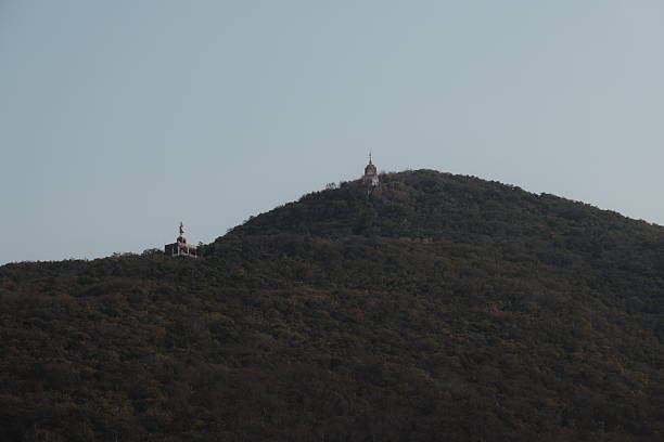 Majestic hilltop temples beautifully nestled amidst vibrant, lush greenery and soaring under a brilliant blue sky