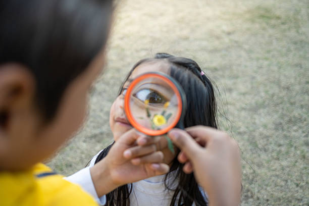 istock Two young kids observing a small yellow flower through magnifying glass, learning about botany and nature 2205638816