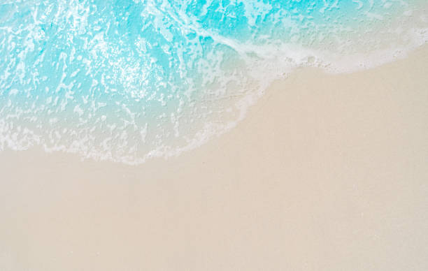 istock beautifully sand beach, closeup, top view 2205640096