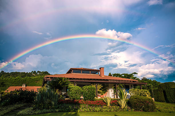 Taken from our garden