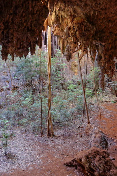 The Anjohibe Caves in Madagascar