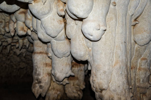 Lost in the heart of the wild landscapes of Madagascar, the Anjohibe Caves stand like a fascinating underground labyrinth, revealing mysterious beauty and extraordinary rock formations to adventurers. Anjohibe is located in northwestern Madagascar, Boeny region.