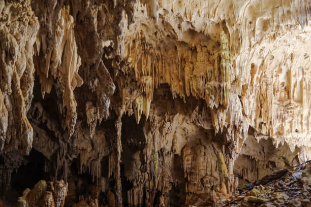 istock The Anjohibe Caves in Madagascar 2205642422