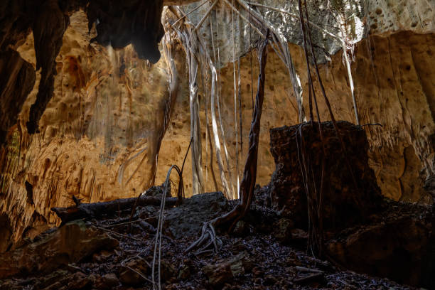 istock The Anjohibe Caves in Madagascar 2205642423