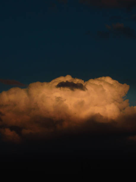 istock Freedom in Flight: Birds Against the Sunset Sky 2205642542