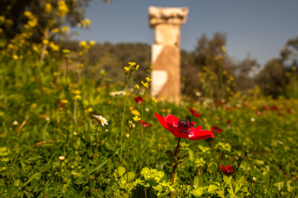 Nysa ancient city and spring