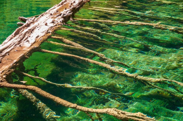 istock The Clear Calm Waters of Hanging Lake 2205649733