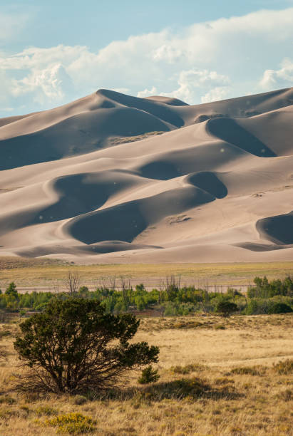 istock Great Sand Dunes National Park and Preserve 2205649910