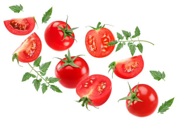 istock flying fresh tomatoes with green leaves isolated on white background. clipping path 2205653536