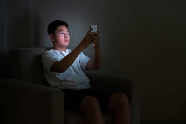 istock Teenage boys using mobile phone on the sofa 2205655244
