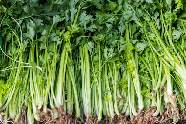 istock Pile of fresh celeries in market 2205655451