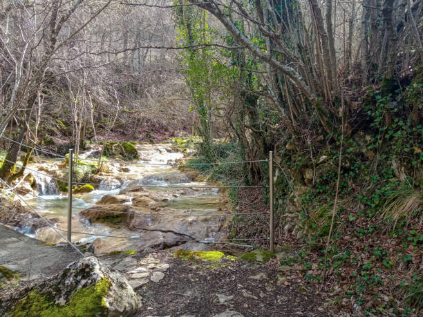 istock bridge on trail to cross river in the mountains 2205655766