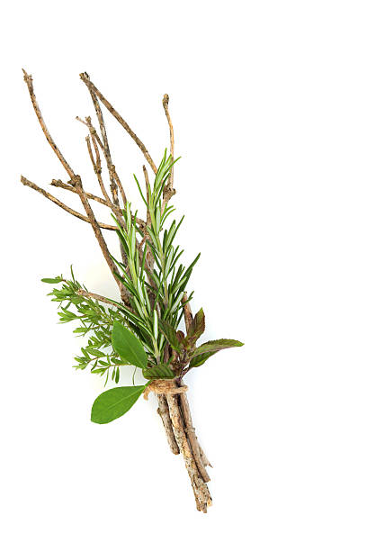 Witches Herb Bundle for Natural Wicca Magical Healing