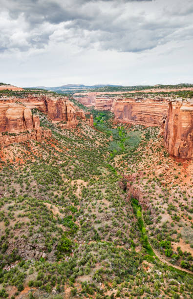 istock Overlook at Colorado National Monument 2205657601