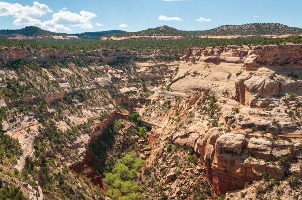 istock Overlook at Colorado National Monument 2205658088