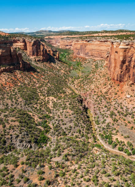 istock Overlook at Colorado National Monument 2205658874