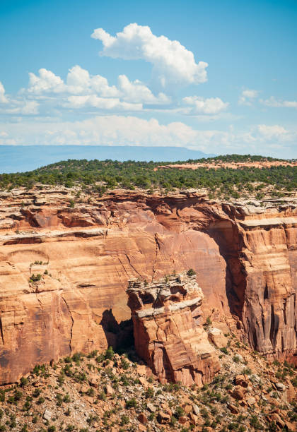 istock Overlook at Colorado National Monument 2205658955
