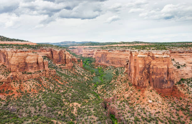istock Overlook at Colorado National Monument 2205658980