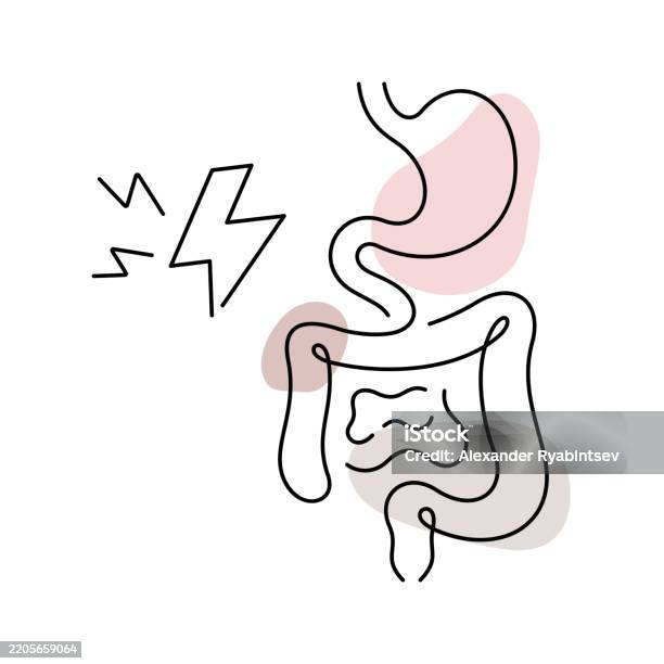 Digestive Problem Images Digestive Problems Medical Illustration Stock Illustration - Download ...