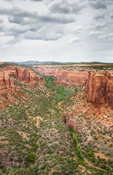 istock Overlook at Colorado National Monument 2205659279