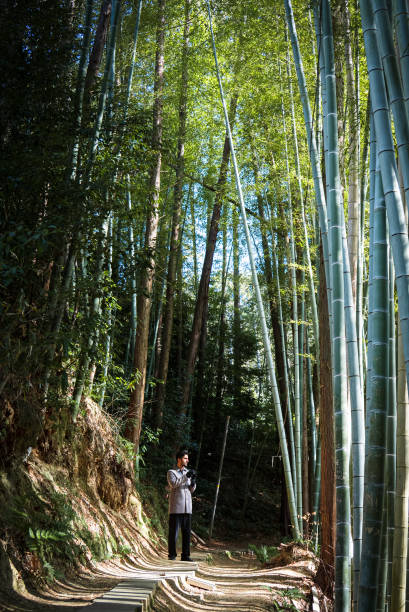 istock Person on a forest walkway among tall bamboo in Japan 2205659405