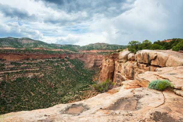 Colorado National Monument in Colorado
