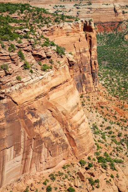 istock Overlook at Colorado National Monument 2205660300