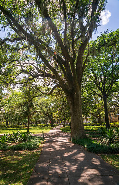 istock Historic Savannah, Georgia on a Sunny Summer Day 2205660767